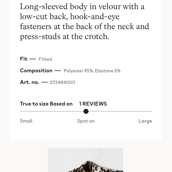 H&M leopard velvet bodysuit - Picture 4 of 4